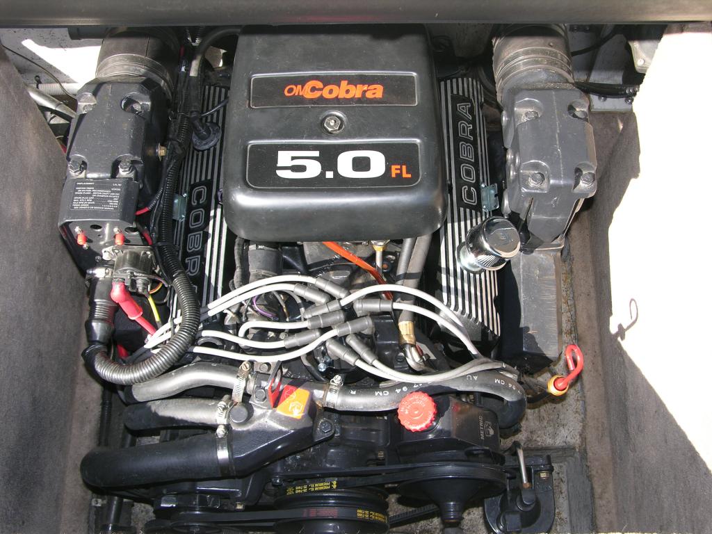 Boat motor ford 302 #3